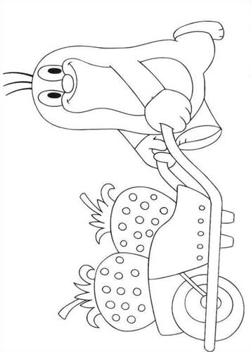 kidsnfun  16 coloring pages of little mole