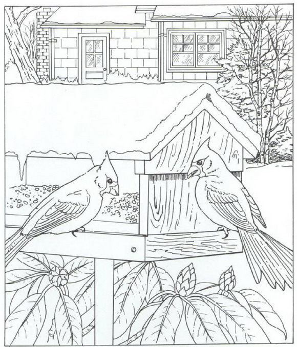 Kids-n-fun.com | Coloring page Nature around the house Nature around
