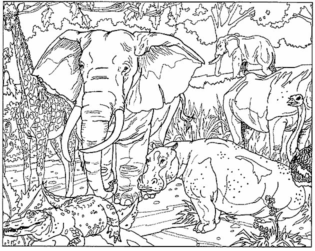 kidsnfun  coloring page elephants elephants