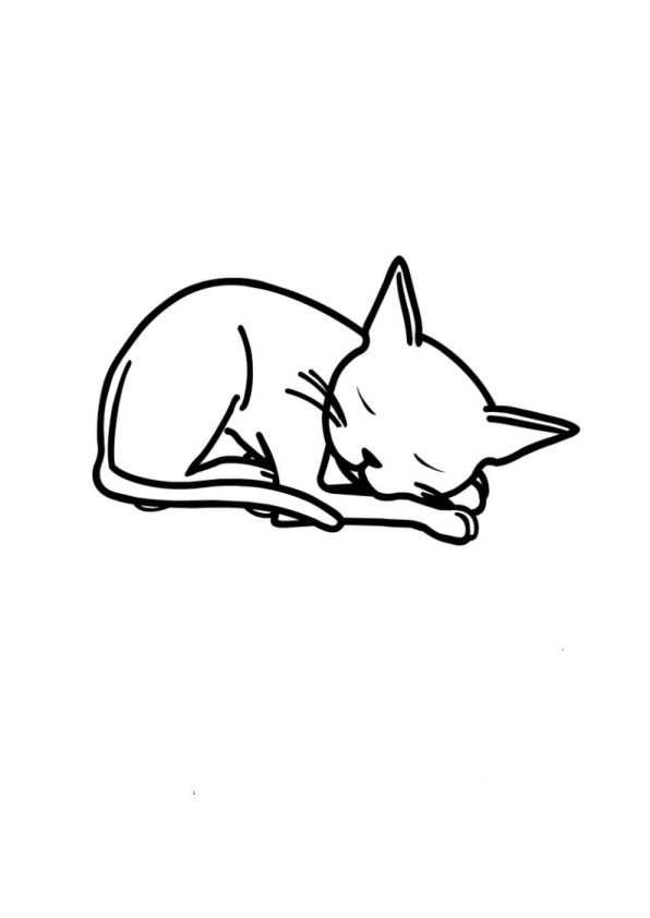 Kids-n-fun.com | 17 coloring pages of Olivia