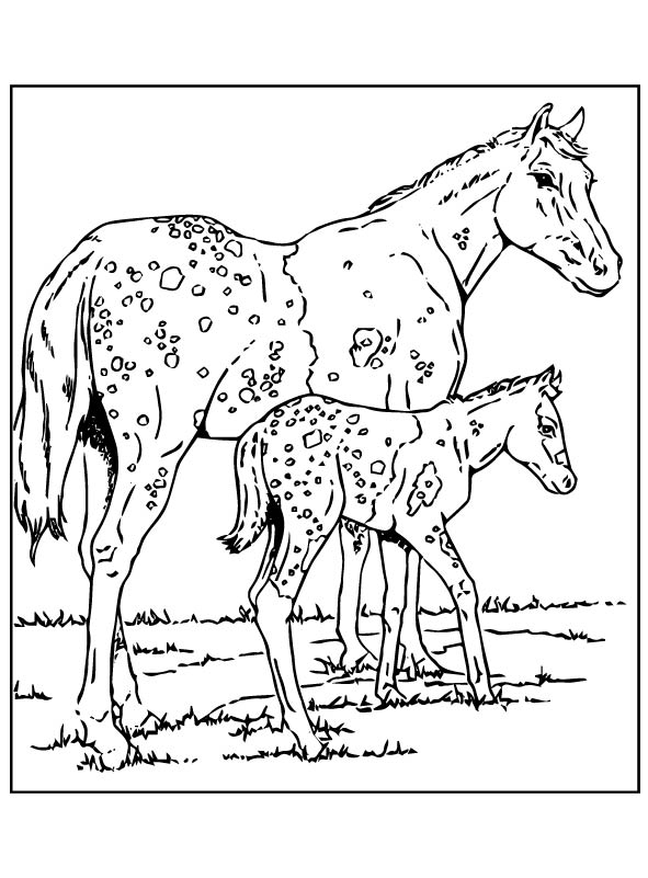 Horses, Horses, free, coloring pages, printables,kids-n-fun, Kids-n-fun, fu
