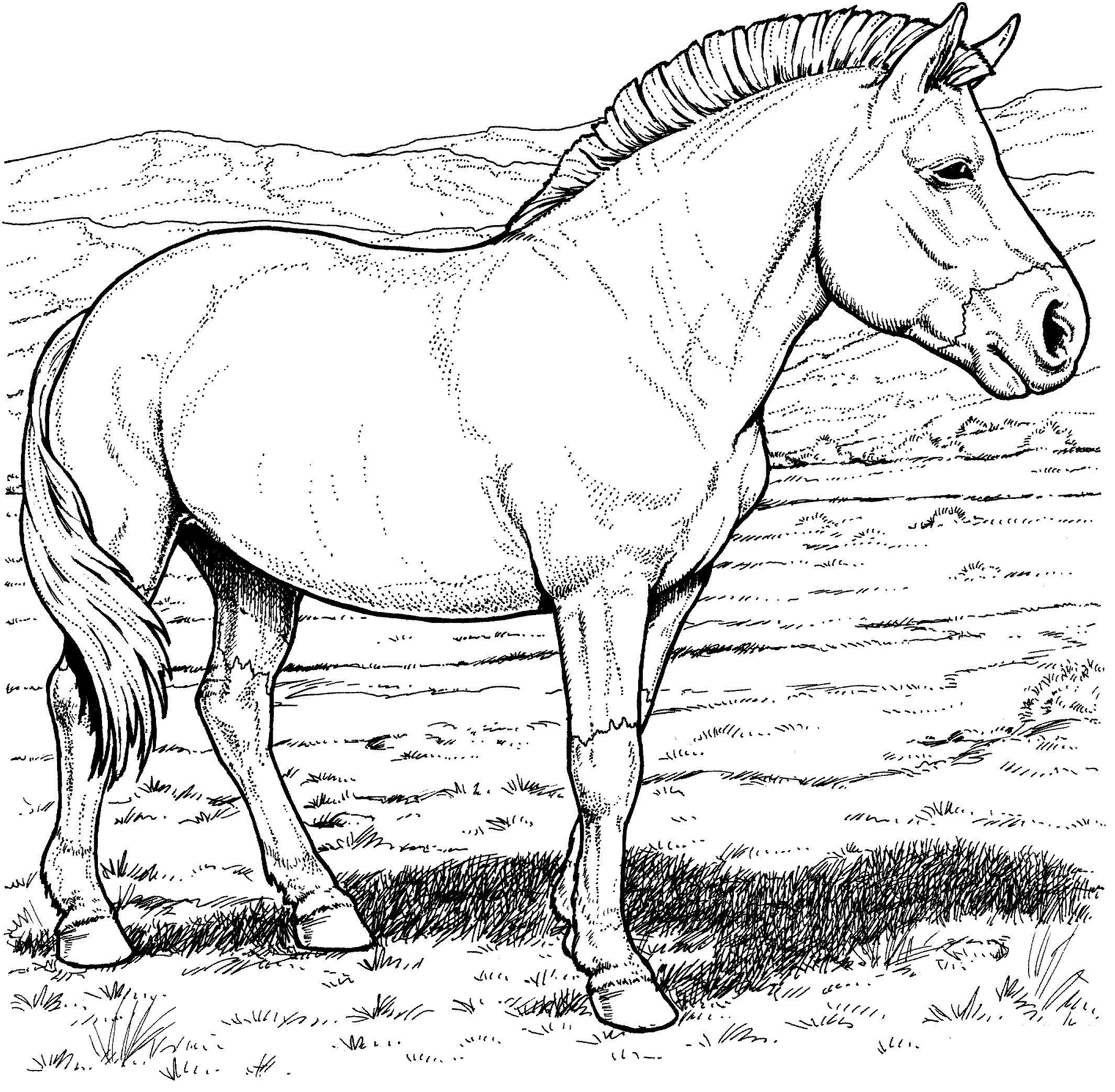 free-horse-coloring-pages