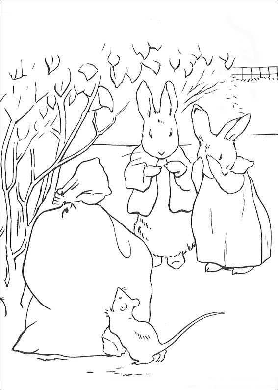 tale of peter rabbit coloring pages - photo #48