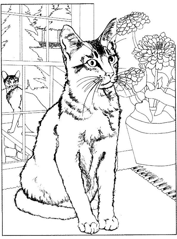 Kids-n-fun.com | Coloring page Cats and dogs Cats and dogs