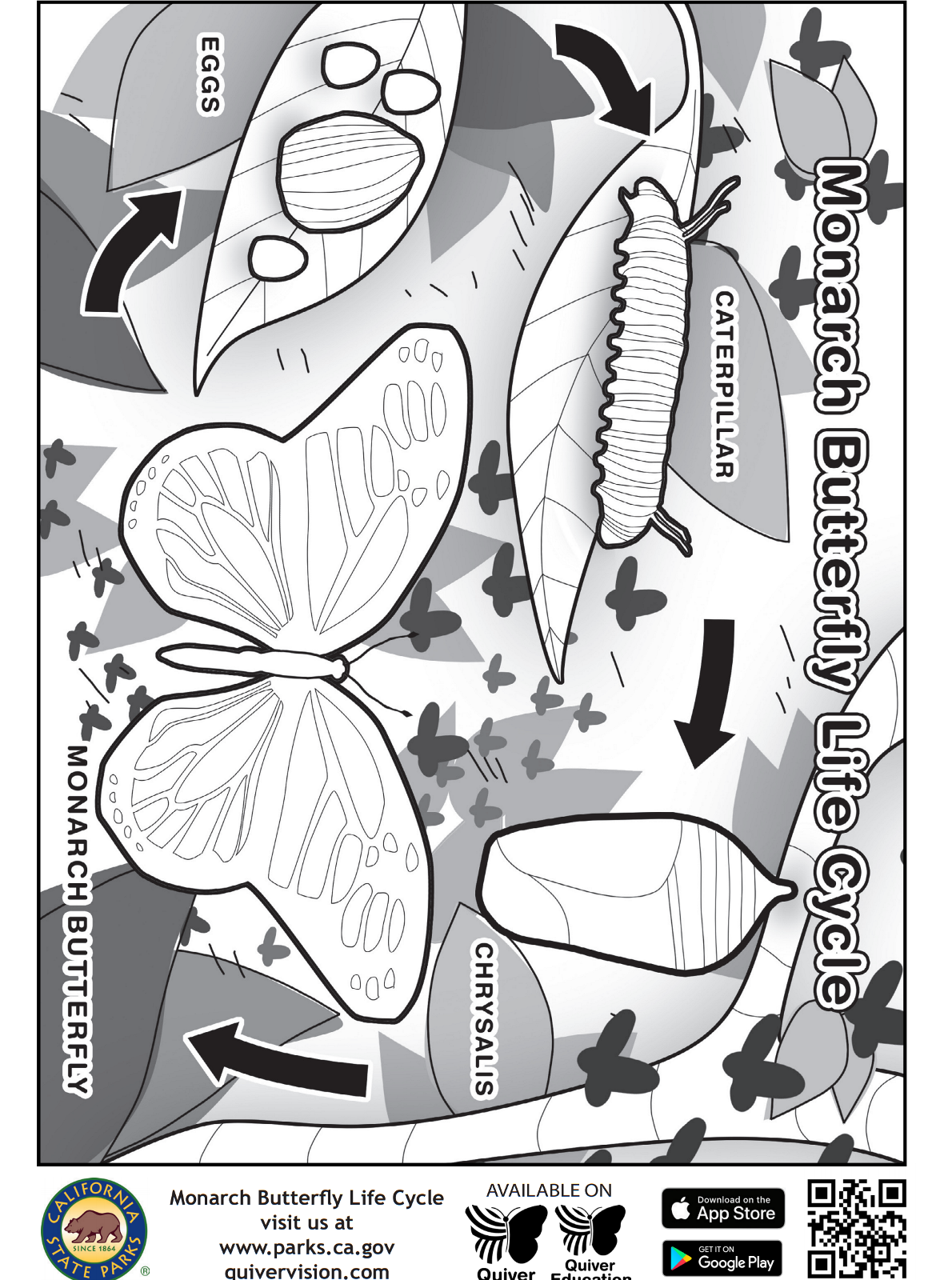 Kids-n-fun.com | Coloring page Quiver monarch butterfly