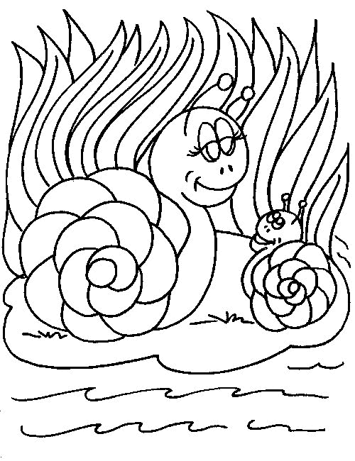 Kids-n-fun.com | 20 coloring pages of Snails