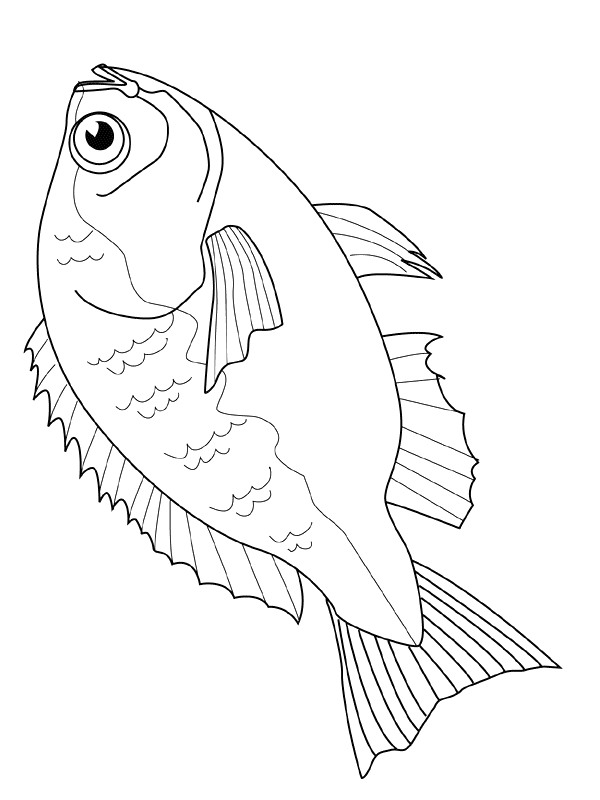Kids-n-fun.com | Coloring page Fish Fish