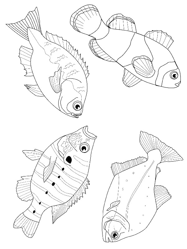 Kids-n-fun.com | 41 coloring pages of Fish