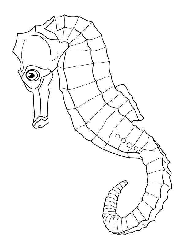 Kids-n-fun.com | 41 coloring pages of Fish