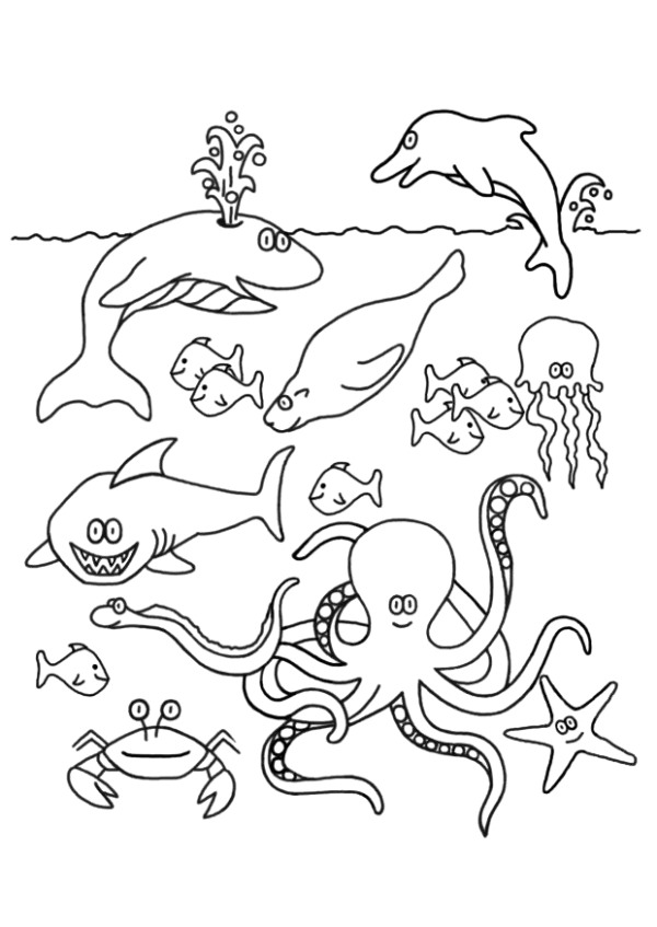 kidsnfun  41 coloring pages of fish
