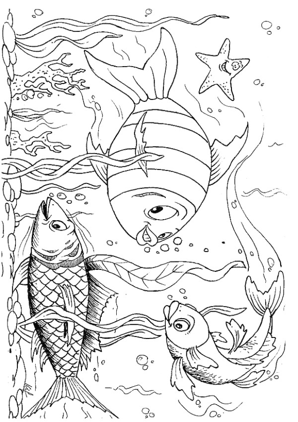 Kids-n-fun.com | Coloring page Fish Fish