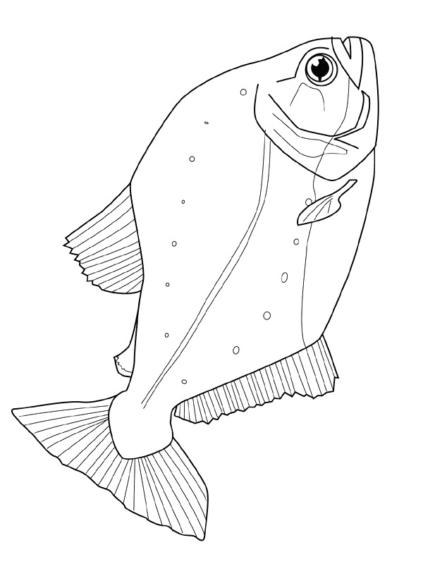 Kids-n-fun.com | 41 coloring pages of Fish