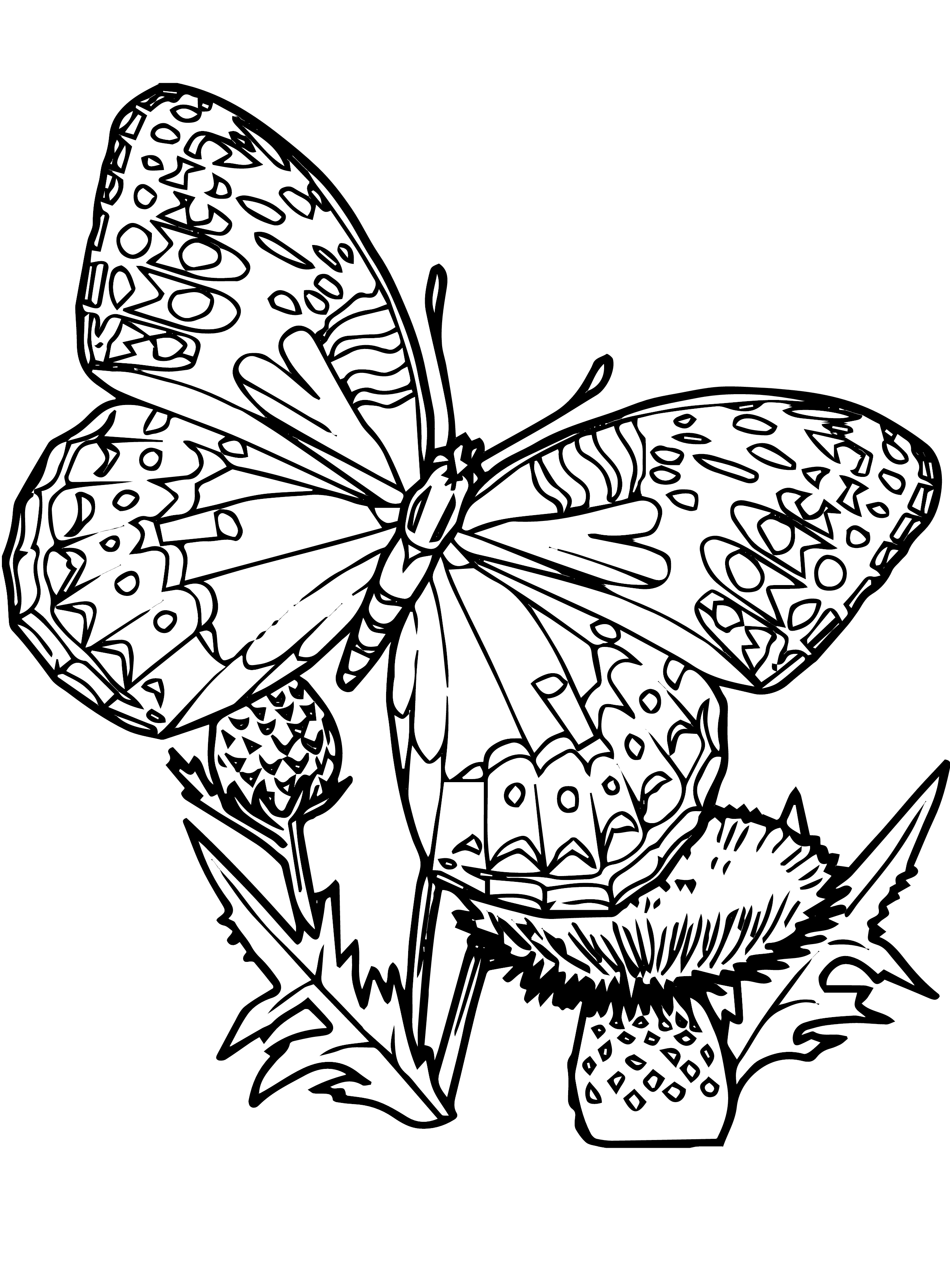 free-printable-butterfly-coloring-pages-for-kids-free-printable