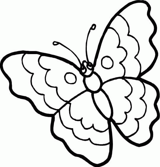 kids n fun com 56 coloring pages of butterflies