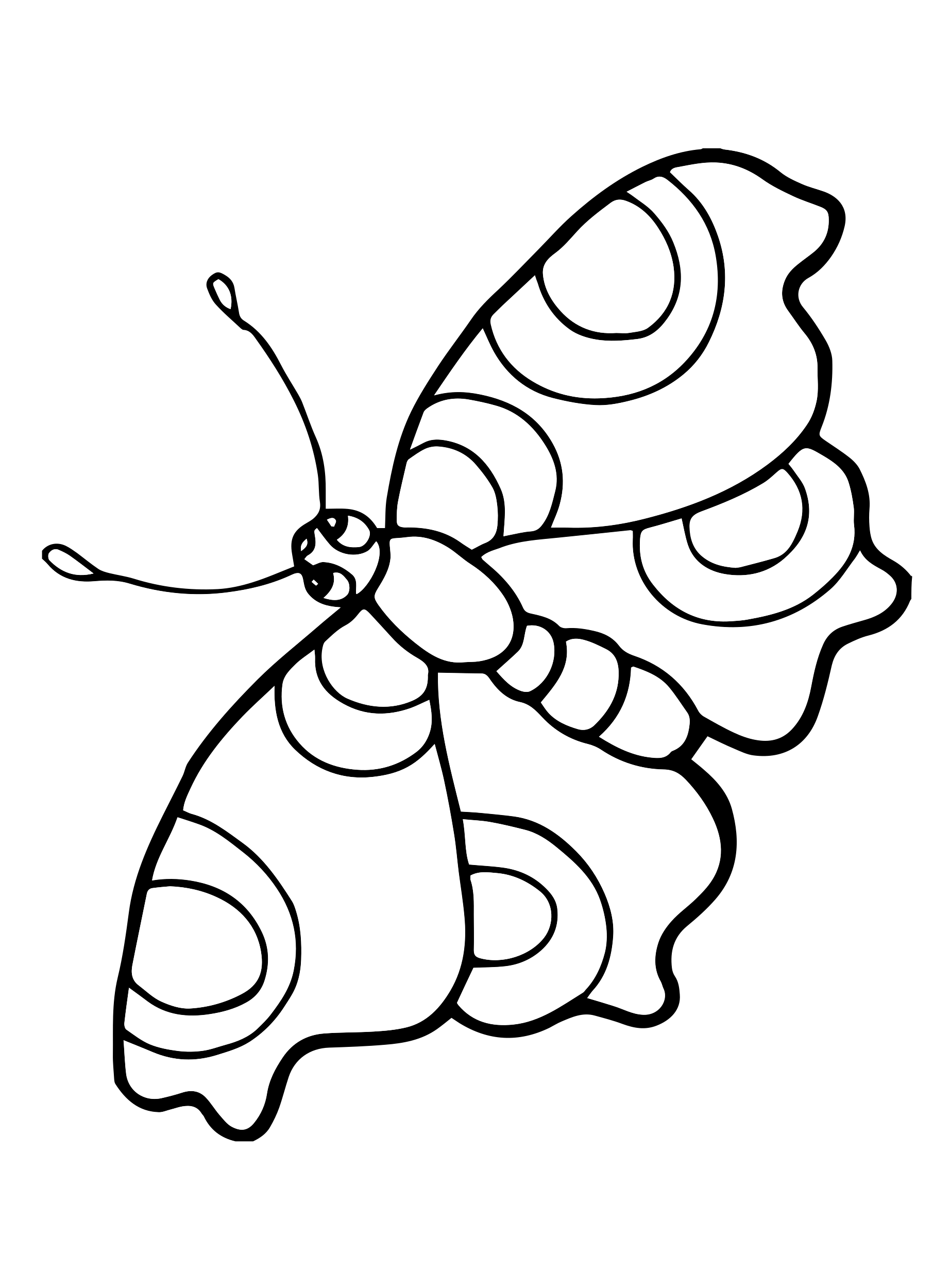 Kids-n-fun.com | Coloring page Butterflies Butterflies