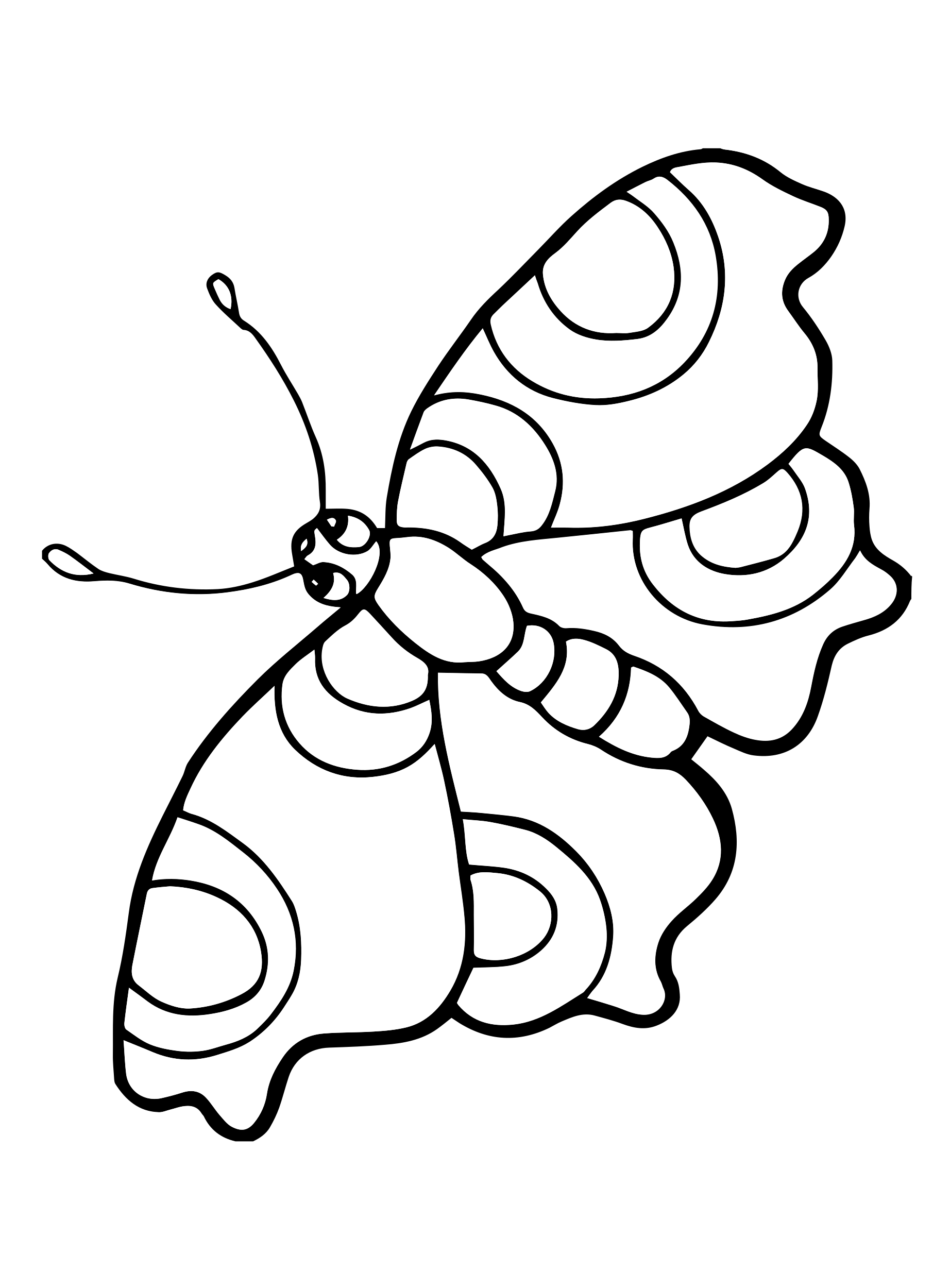 Kids n fun Coloring Page Butterflies Butterflies Kids n fun Coloring Page Butterflies Butterflies