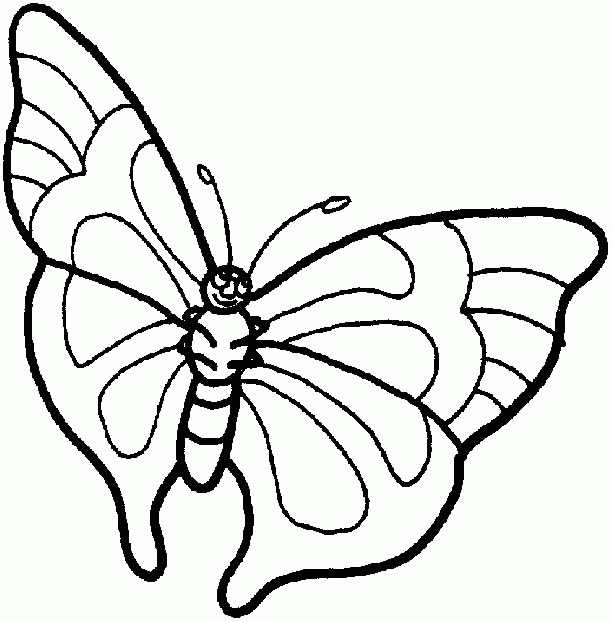 kids n fun com 56 coloring pages of butterflies