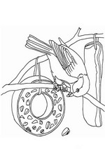 coloring page Birds