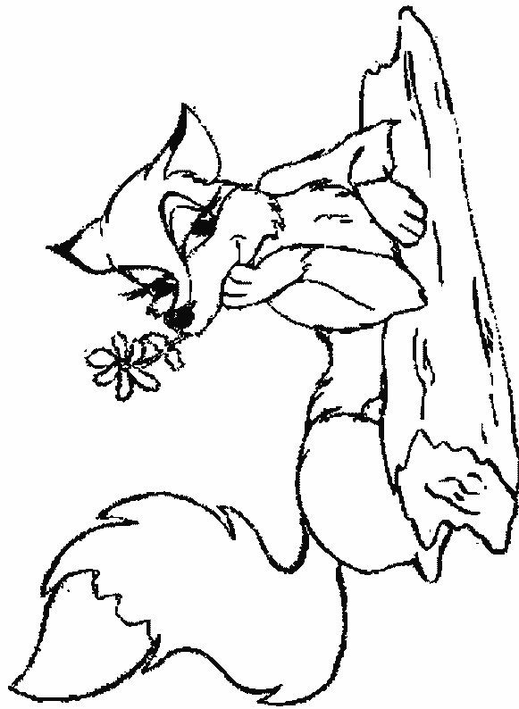 Kids-n-fun.com | 18 coloring pages of Foxes