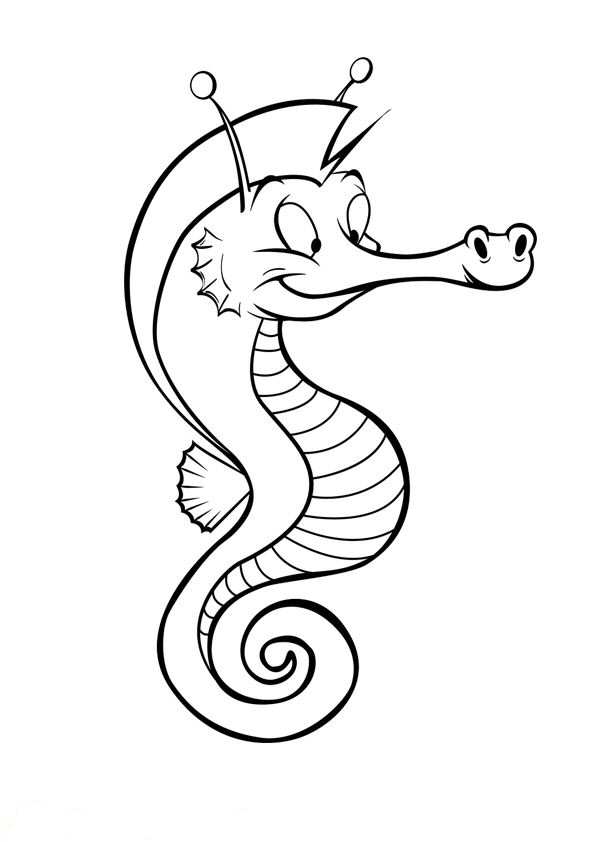 Kids-n-fun.com | 15 coloring pages of Seahorse