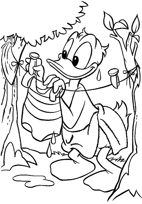 Kids-n-fun.com | Coloring page Donald Duck Donald Duck