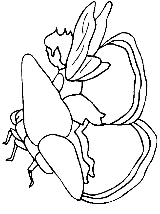 Kids-n-fun.com | Create personal coloring page of Fairies coloring page