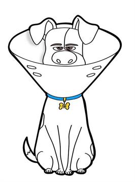 Kids-n-fun.com | 7 coloring pages of Secret Life of Pets 2