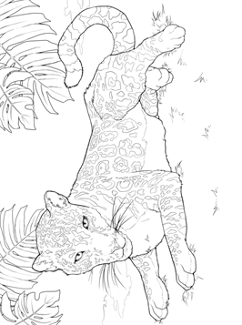 Kids-n-fun.com | 6 coloring pages of Jungle Cruise
