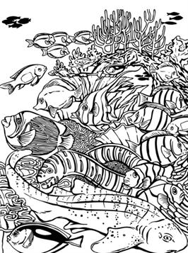 coral reef fish coloring pages