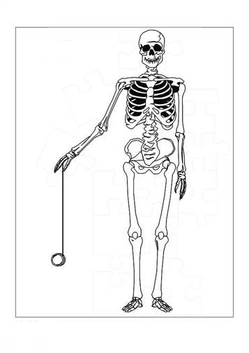 Download Kids N Fun Com 17 Coloring Pages Of Human Body