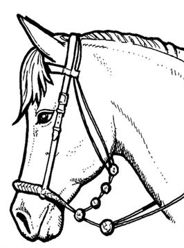 Hedendaags Kids-n-fun.com | 63 coloring pages of Horses QZ-27