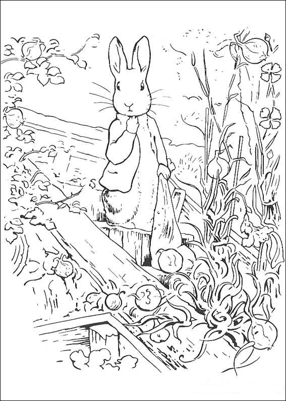 Download Kids-n-fun.com | Coloring page Peter Rabbit Peter Rabbit