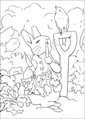 Kids N Fun Com 29 Coloring Pages Of Peter Rabbit