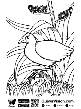 Kids-n-fun.com | 54 coloring pages of Quiver