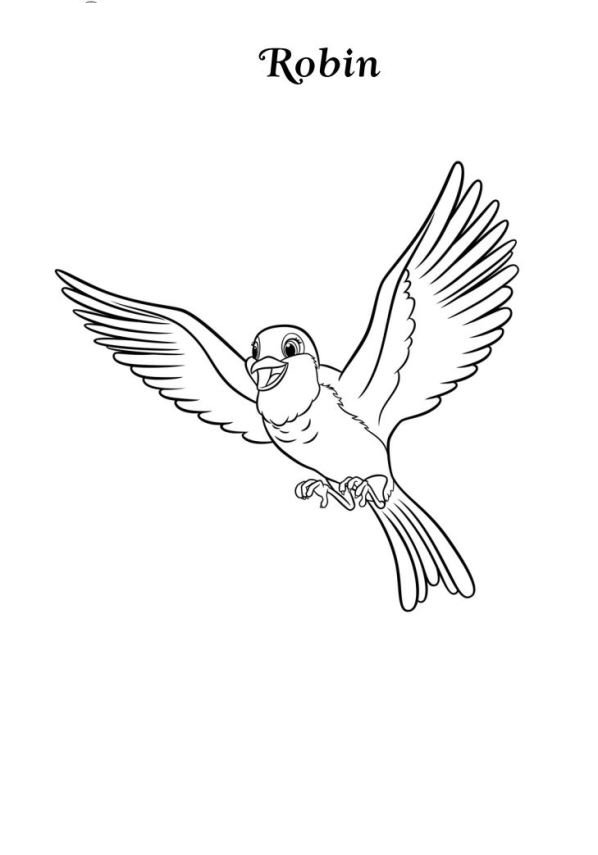 Kids-n-fun.com | Create personal coloring page of robin coloring page