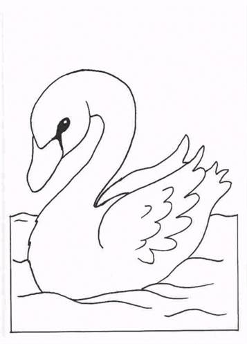 Kids-n-fun.com | 8 coloring pages of Swans
