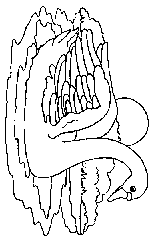 Kids-n-fun.com | 8 coloring pages of Swans